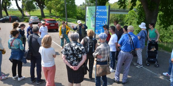 Balade avec les associations "Les Amis du Pays d’Albe” et “Les Cigognes du Grand Est”