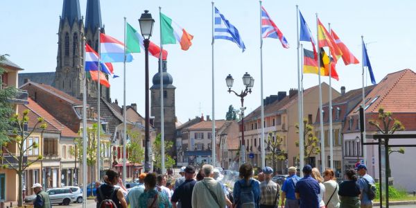 Balade avec les associations "Les Amis du Pays d’Albe” et “Les Cigognes du Grand Est”