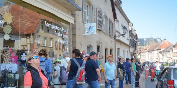 Balade avec les associations "Les Amis du Pays d’Albe” et “Les Cigognes du Grand Est”