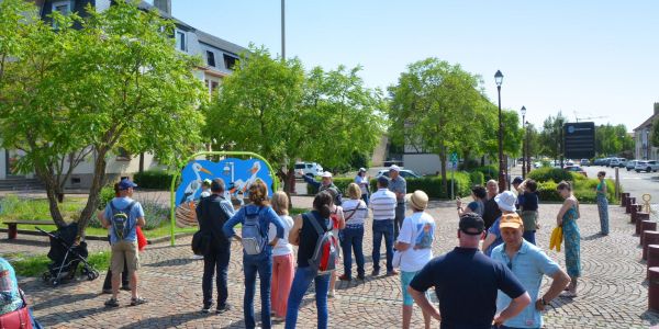 Balade avec les associations "Les Amis du Pays d’Albe” et “Les Cigognes du Grand Est”