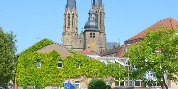 Balade avec les associations "Les Amis du Pays d’Albe” et “Les Cigognes du Grand Est”