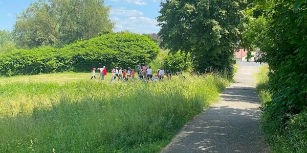 Sortie NATURE sur le thème “Les petites bêtes”