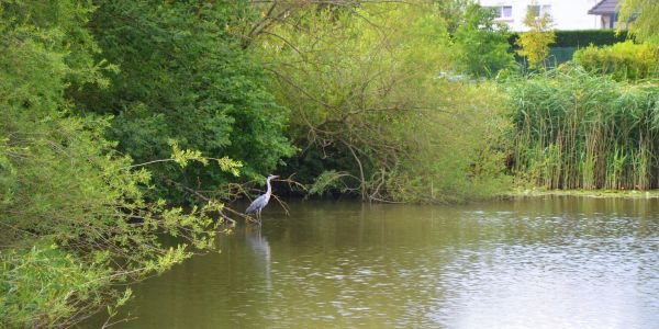 Journée de pêche pour les scolaires de Rech