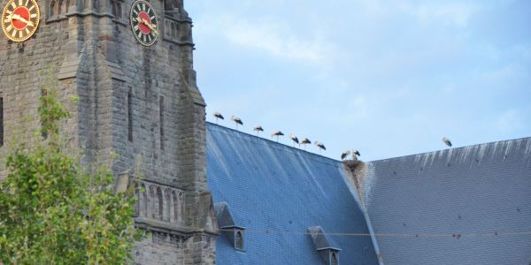 FESTIVITÉS DU 13 JUILLET 2023