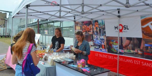 CARAVANE MOSELLE TERRE DE JEUX 2024