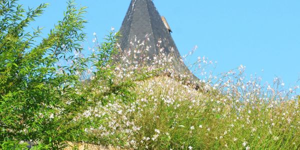 FLÂNER DANS LES ALLÉES DU CIMETIÈRE !!!