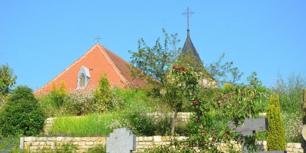 FLÂNER DANS LES ALLÉES DU CIMETIÈRE !!!