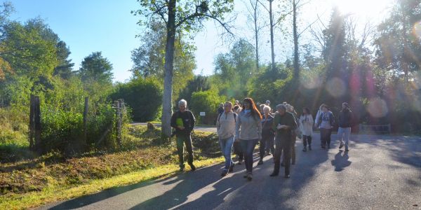 LA VILLE DE SARRALBE HONORE SA FORÊT