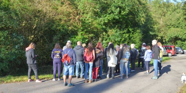 LA VILLE DE SARRALBE HONORE SA FORÊT