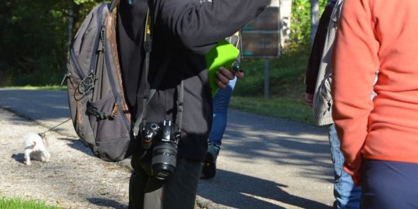 LA VILLE DE SARRALBE HONORE SA FORÊT