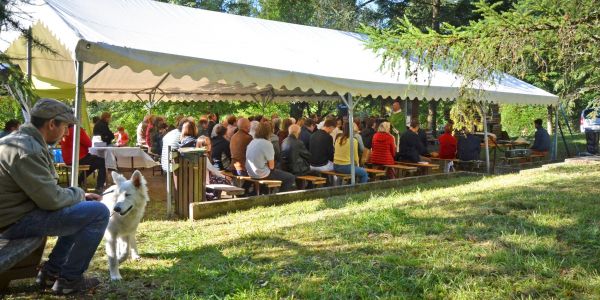 LA VILLE DE SARRALBE HONORE SA FORÊT