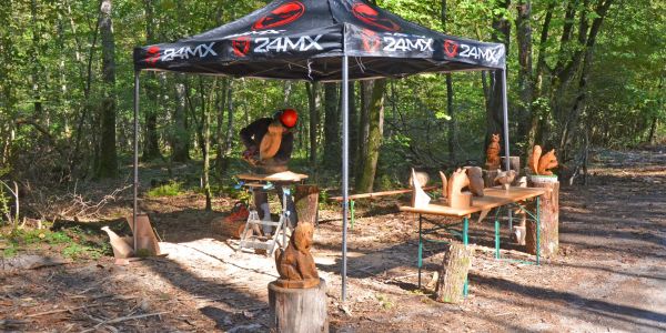 LA VILLE DE SARRALBE HONORE SA FORÊT