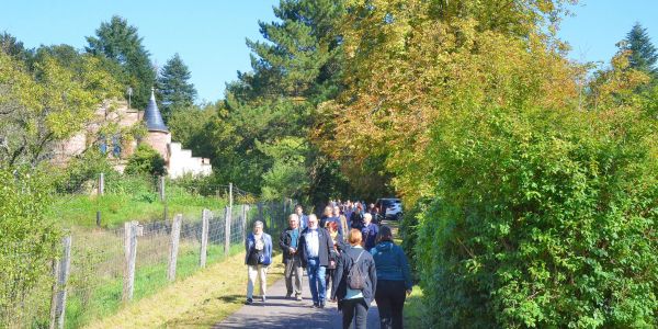 LA VILLE DE SARRALBE HONORE SA FORÊT