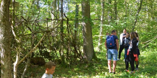 LA VILLE DE SARRALBE HONORE SA FORÊT