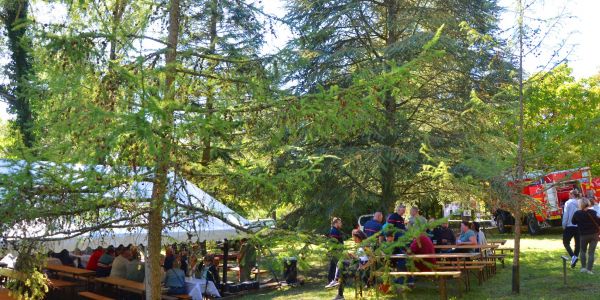 LA VILLE DE SARRALBE HONORE SA FORÊT