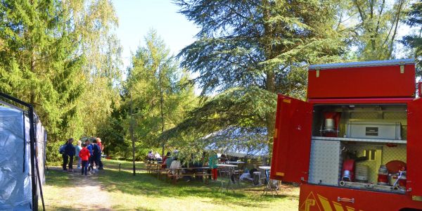 LA VILLE DE SARRALBE HONORE SA FORÊT