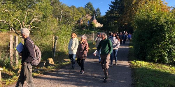 LA VILLE DE SARRALBE HONORE SA FORÊT
