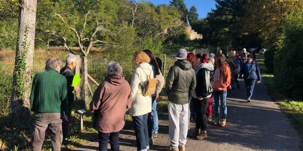 LA VILLE DE SARRALBE HONORE SA FORÊT