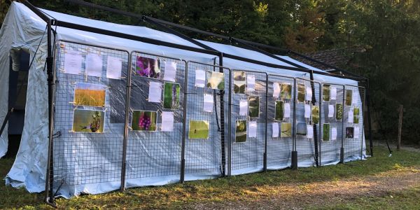 LA VILLE DE SARRALBE HONORE SA FORÊT