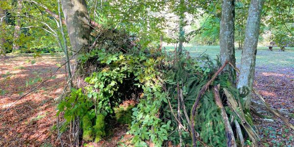LA VILLE DE SARRALBE HONORE SA FORÊT