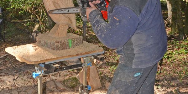 LA VILLE DE SARRALBE HONORE SA FORÊT