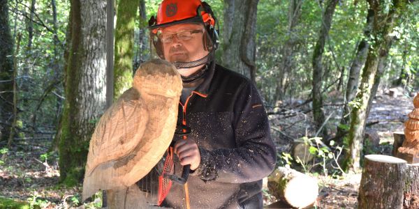 LA VILLE DE SARRALBE HONORE SA FORÊT