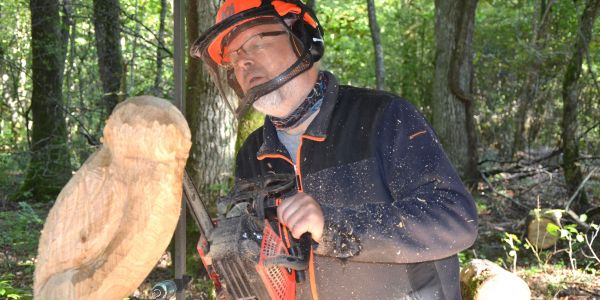 LA VILLE DE SARRALBE HONORE SA FORÊT
