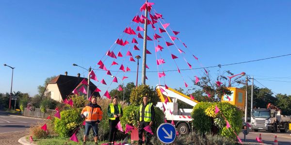 La ville de Sarralbe s'est colorée de tons rose/fuchsia !!!