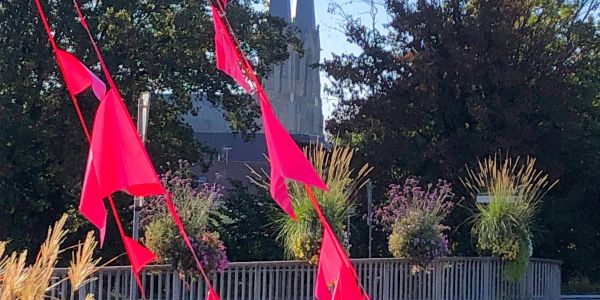 La ville de Sarralbe s'est colorée de tons rose/fuchsia !!!