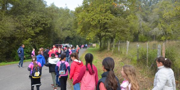 Marche Rose des enfants : Tous ensemble dans la forêt St Hubert