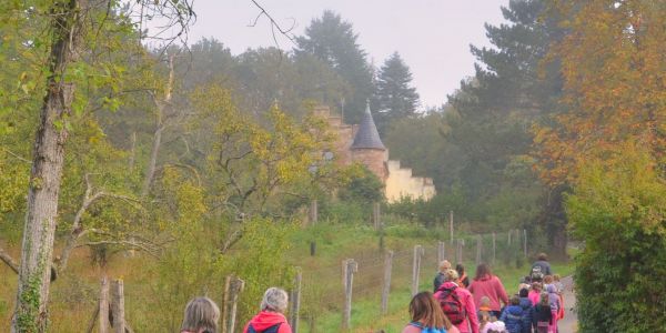 Marche Rose des enfants : Tous ensemble dans la forêt St Hubert