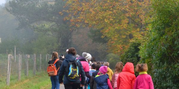 Marche Rose des enfants : Tous ensemble dans la forêt St Hubert