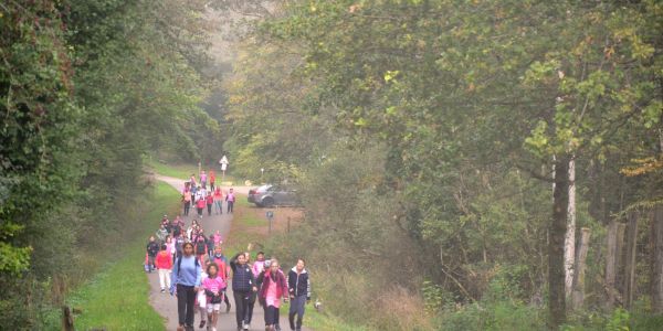 Marche Rose des enfants : Tous ensemble dans la forêt St Hubert