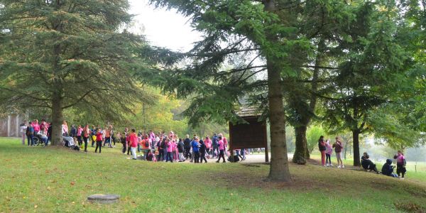 Marche Rose des enfants : Tous ensemble dans la forêt St Hubert