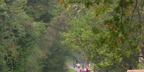 Marche Rose des enfants : Tous ensemble dans la forêt St Hubert