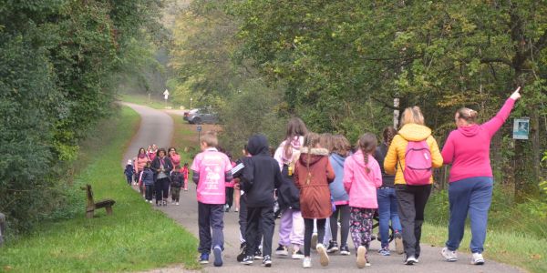 Marche Rose des enfants : Tous ensemble dans la forêt St Hubert