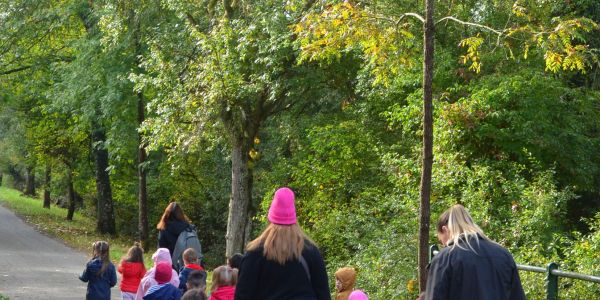 Marche Rose des enfants : Tous ensemble dans la forêt St Hubert
