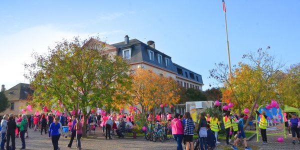 REMERCIEMENTS ET RETOUR EN IMAGE SUR CETTE 1ÈRE ÉDITION DE SARRALBE EN ROSE