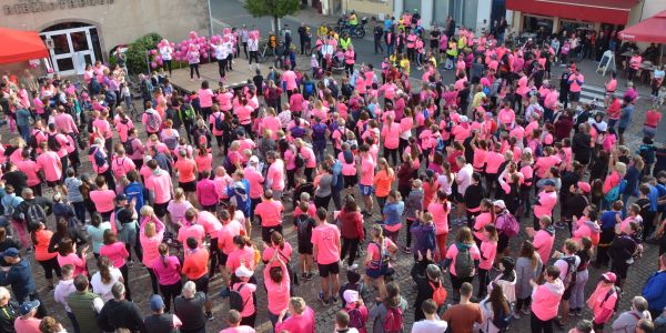 REMERCIEMENTS ET RETOUR EN IMAGE SUR CETTE 1ÈRE ÉDITION DE SARRALBE EN ROSE