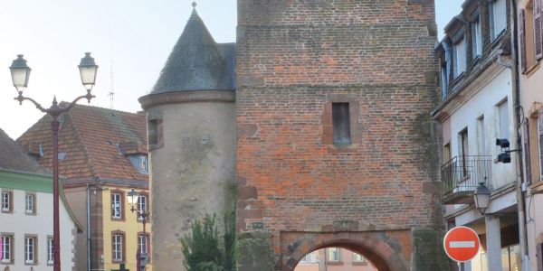 REMERCIEMENTS ET RETOUR EN IMAGE SUR CETTE 1ÈRE ÉDITION DE SARRALBE EN ROSE