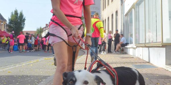 REMERCIEMENTS ET RETOUR EN IMAGE SUR CETTE 1ÈRE ÉDITION DE SARRALBE EN ROSE
