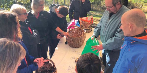 SORTIE CHAMPIGNONS