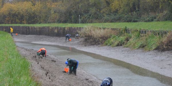 A la pêche aux moules...