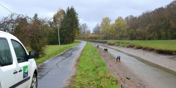 A la pêche aux moules...