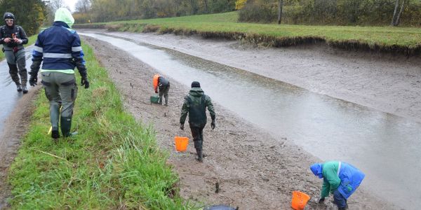 A la pêche aux moules...