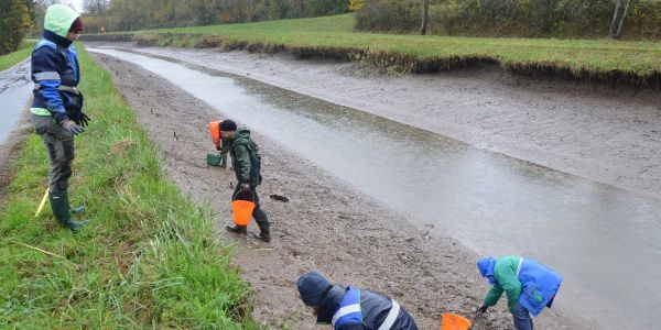 A la pêche aux moules...