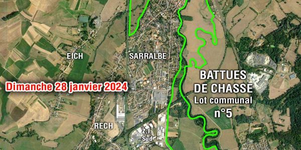 BATTUES DE CHASSE