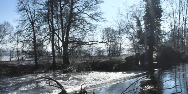 Rivières étincelantes