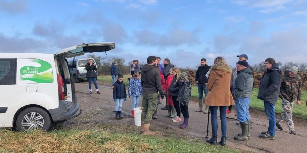 La Ville de Sarralbe s'engage pour la sauvegarde de l'environnement !