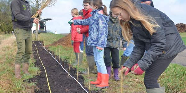 La Ville de Sarralbe s'engage pour la sauvegarde de l'environnement !